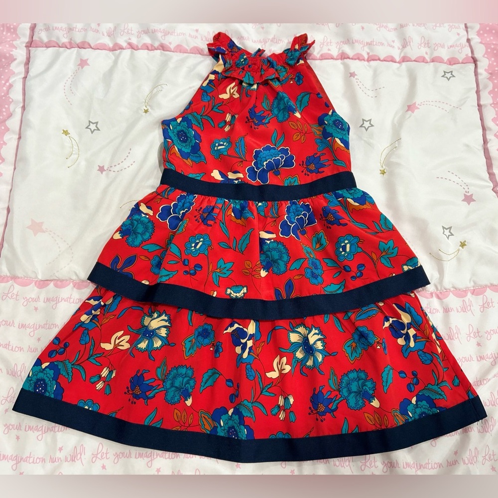 4,Janie and Jack Red and Blue Floral Dress